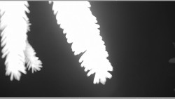 Parkoviště běžecký areál