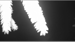 Parkoviště běžecký areál