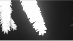 Parkoviště běžecký areál