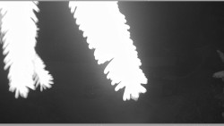 Parkoviště běžecký areál