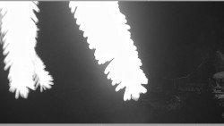 Parkoviště běžecký areál