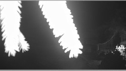 Parkoviště běžecký areál