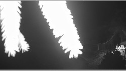 Parkoviště běžecký areál