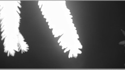 Parkoviště běžecký areál