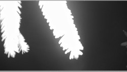 Parkoviště běžecký areál