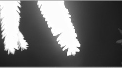 Parkoviště běžecký areál