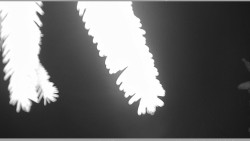 Parkoviště běžecký areál