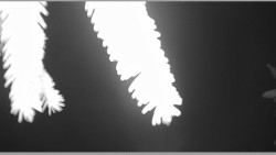 Parkoviště běžecký areál