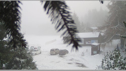 Parkoviště běžecký areál