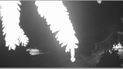 Parkoviště běžecký areál