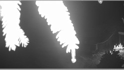 Parkoviště běžecký areál