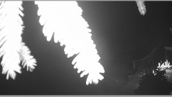 Parkoviště běžecký areál