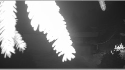 Parkoviště běžecký areál