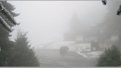 Parkoviště běžecký areál