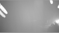 Parkoviště běžecký areál