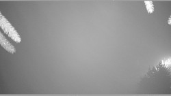 Parkoviště běžecký areál