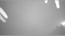 Parkoviště běžecký areál