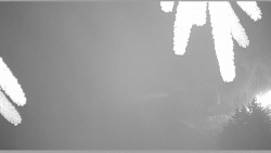 Parkoviště běžecký areál