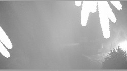 Parkoviště běžecký areál