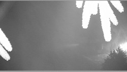 Parkoviště běžecký areál