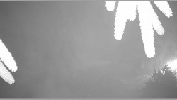 Parkoviště běžecký areál