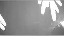 Parkoviště běžecký areál