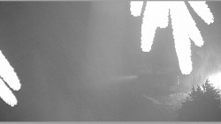 Parkoviště běžecký areál