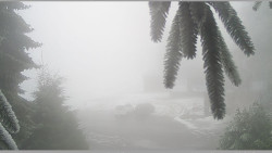 Parkoviště běžecký areál