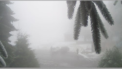 Parkoviště běžecký areál