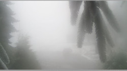 Parkoviště běžecký areál