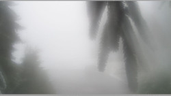 Parkoviště běžecký areál