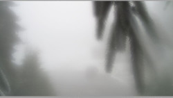 Parkoviště běžecký areál