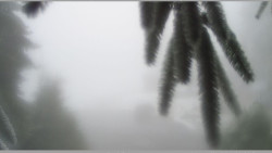 Parkoviště běžecký areál