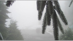 Parkoviště běžecký areál