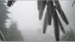 Parkoviště běžecký areál