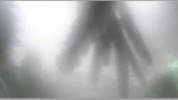 Parkoviště běžecký areál