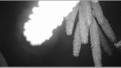 Parkoviště běžecký areál