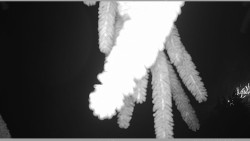 Parkoviště běžecký areál