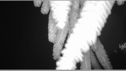 Parkoviště běžecký areál