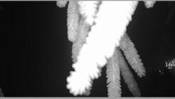 Parkoviště běžecký areál