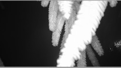 Parkoviště běžecký areál