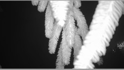 Parkoviště běžecký areál