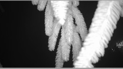 Parkoviště běžecký areál