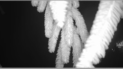 Parkoviště běžecký areál