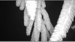 Parkoviště běžecký areál