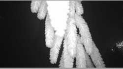 Parkoviště běžecký areál