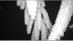 Parkoviště běžecký areál