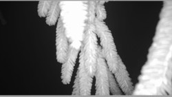 Parkoviště běžecký areál