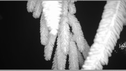 Parkoviště běžecký areál