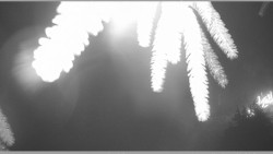 Parkoviště běžecký areál